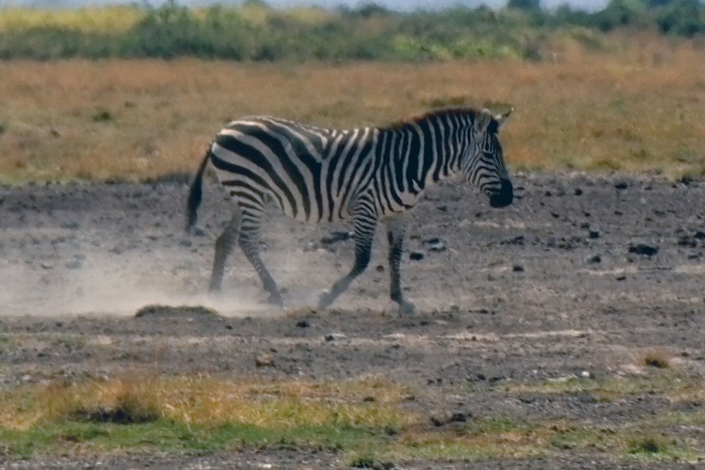 Kenia (150).jpg